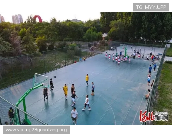 南宫体育官网入口最新版本下载指南确保玩家顺利体验最新游戏内容